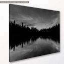Canvas print Dark tree lake