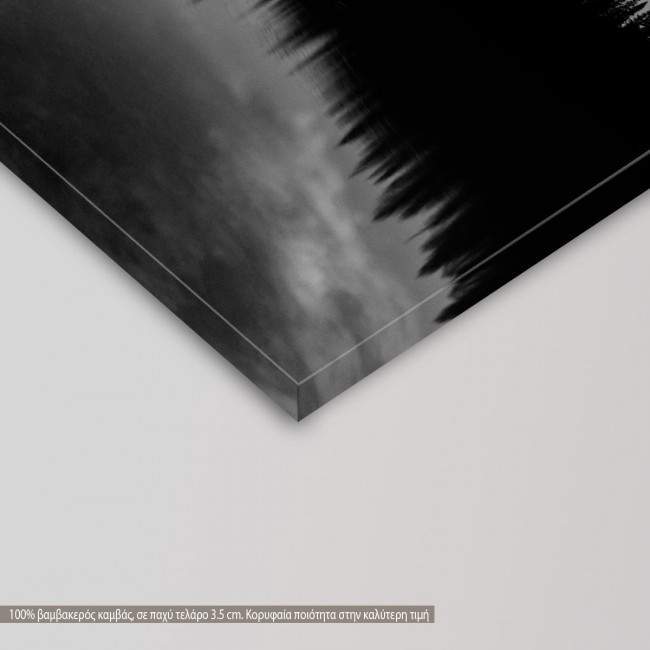 Canvas print Dark tree lake