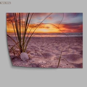 Sunset synthesis, poster 2