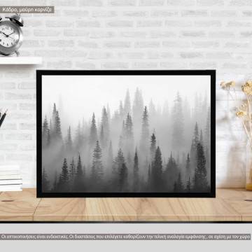 Forest in the mist, poster