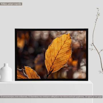 Autumn leaf, κάδρο, μαύρη κορνίζα