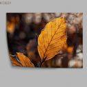 Autumn leaf, αφίσα, πόστερ