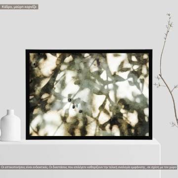 Shadow of branches and leaves, poster