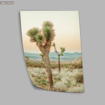 Desert nature, poster 2