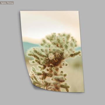 Desert nature I, poster 2