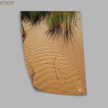 Circles in the sand, poster 2