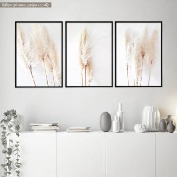 Dried reeds, three panels poster
