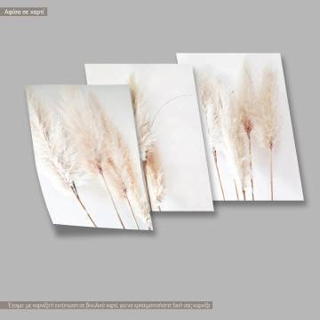 Dried reeds, three panels poster 2