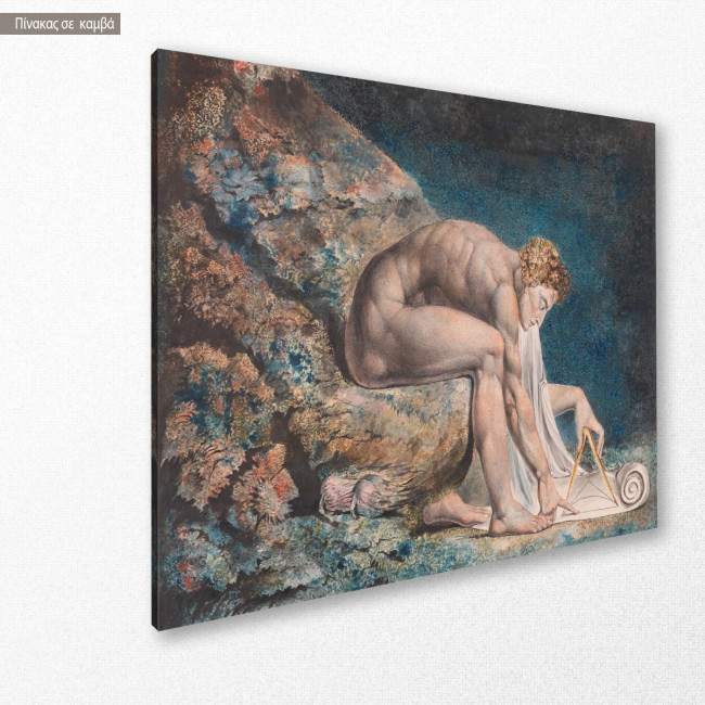 Canvas print Newton, Blake W.