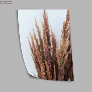 Muted shades of nature IV, poster 2