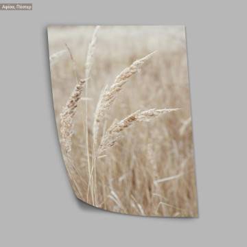 Muted shades of nature V, poster 2