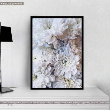 Tulips under blue sky, poster