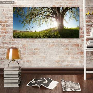 Canvas print Oak tree, panoramic