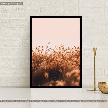 Muted shades of nature VII, κάδρο, μαύρη κορνίζα