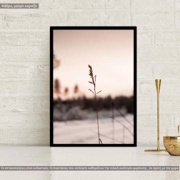 Muted shades of nature IIX, poster