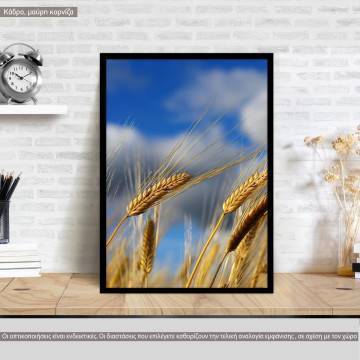 Grains, κάδρο, μαύρη κορνίζα