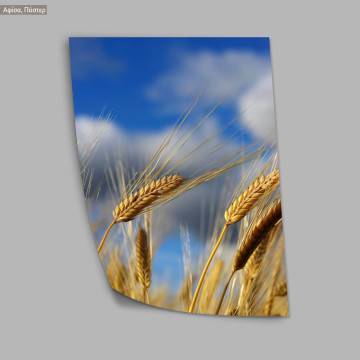 Grains, κάδρο, μαύρη κορνίζα 2