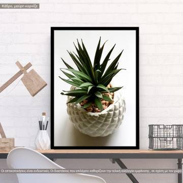 A pineapple? poster