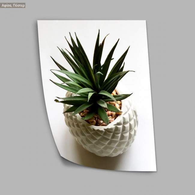 A pineapple? poster