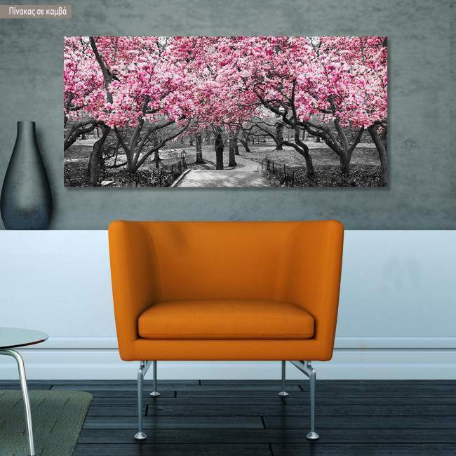 Πίνακας σε καμβά Ανθισμένα δέντρα, Pink blossom central park, πανοραμικός, 3