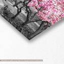 Canvas print Pink blossom central park, panoramic