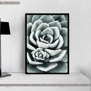 Gray green leaves, poster