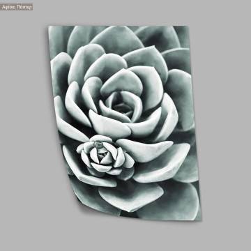 Gray green leaves, poster 2