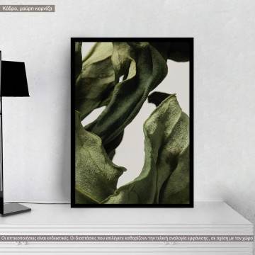 Dried green leaves, poster