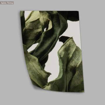 Dried green leaves, κάδρο, μαύρη κορνίζα 2