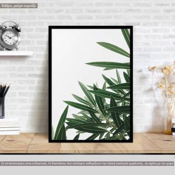 Louise leaves, poster