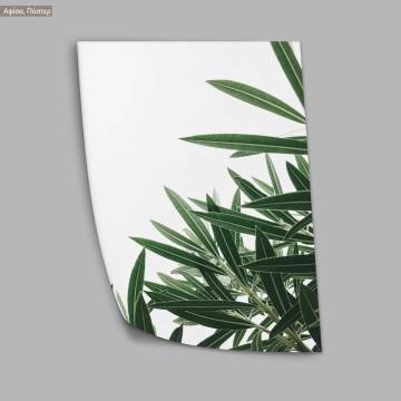 Louise leaves, κάδρο, μαύρη κορνίζα 2