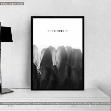 Free spirit, poster