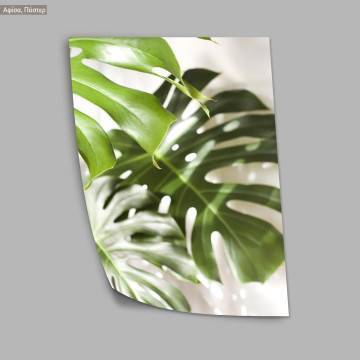 More palm leaves, κάδρο, μαύρη κορνίζα 2