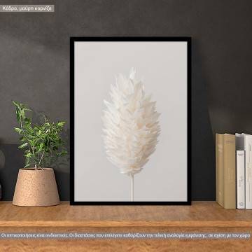 White petals, poster