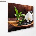 Canvas print, Spa concept