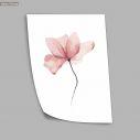 Watercolor flower, poster