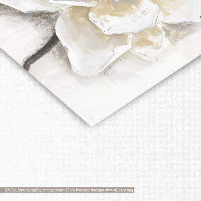 Canvas print White petals