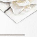 Canvas print White petals