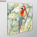 Πίνακας σε καμβά Colorful parrot, κοντινό
