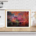 Canvas print Daigo-ji temple in autumn