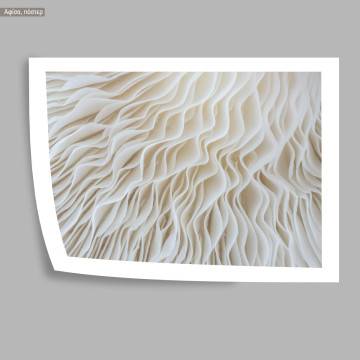 Mushroom pattern I, poster 2