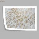 Mushroom pattern I, poster