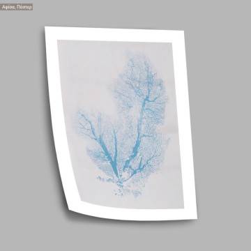 Blue coral, κάδρο, μαύρη κορνίζα 2