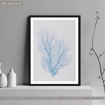 Blue coral I, poster