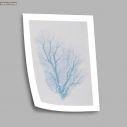 Blue coral I, poster