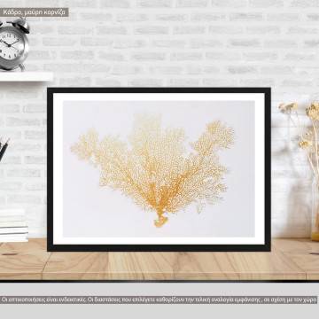 Gold coral, poster
