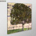 Πίνακας ζωγραφικής Apple tree II by G. Klimt, αντίγραφο σε καμβά, κοντινό