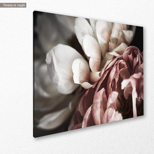 Canvas print, Flower wall III