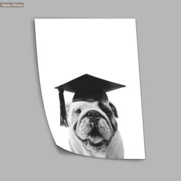 Lecture time, poster 2