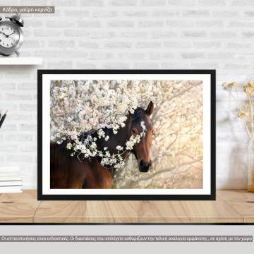 A Portrait of a horse, Poster